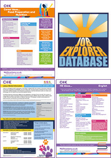 Key Stage 3/4 Digital Resource Bundle